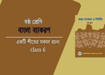 একটি শীতের সকাল রচনা class 6