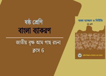 জাতীয় বৃক্ষ আম গাছ রচনা ক্লাস 6