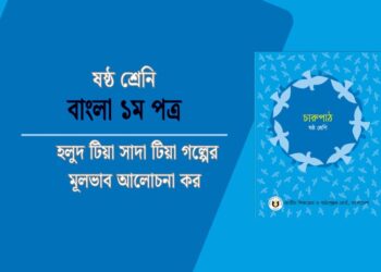 হলুদ টিয়া সাদা টিয়া গল্পের মূলভাব আলোচনা কর